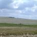 Cropland and Pasture - - Dixon County