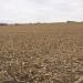 163.73 Dixon County Farmland