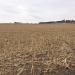 163.73 Dixon County Farmland