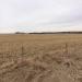 163.73 Dixon County Farmland
