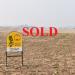 All Tillable 80 Acres