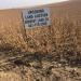 TWO CEDAR COUNTY IRRIGATED QUARTERS 