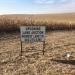 2 Irrigated Quarters - Buy One or Both!