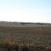 152 acres - Southwest of Wakefield, NE