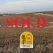 Wayne County Auction
