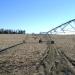 Pivot Irrigation - Full Possession