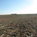 77.85 acres - Southwest of Carroll, NE