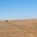 Wayne County Irrigated Quarter
