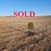 Wayne County Irrigated Quarter
