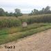 Two Ponca Area Farms - 294.75 Acres