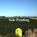 Cuming County Land Auction
