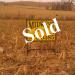 40 acres - East of Thurston, NE