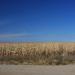 Wayne - Pender - Wisner Area