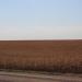 Wayne - Pender - Wisner Area