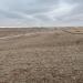 Wayne County Land Auction