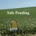 Wayne County Land Auction